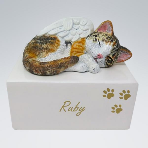 Katzenurne schlafende Katze mit Flügel